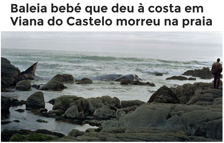 BNA2.png